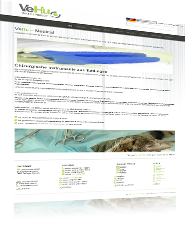 Screen Webseite Vehu Medical